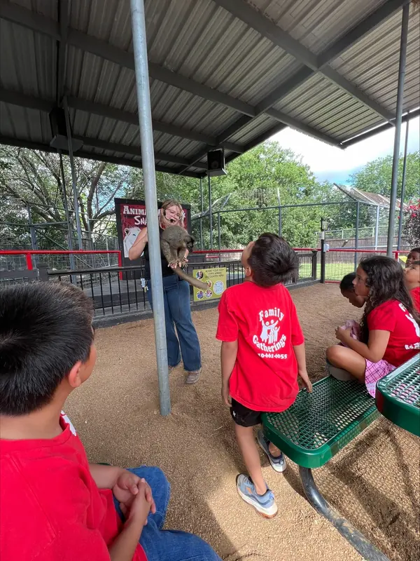 Summer campers seated at green picnic tables under a shaded pavilion on a zoo field trip